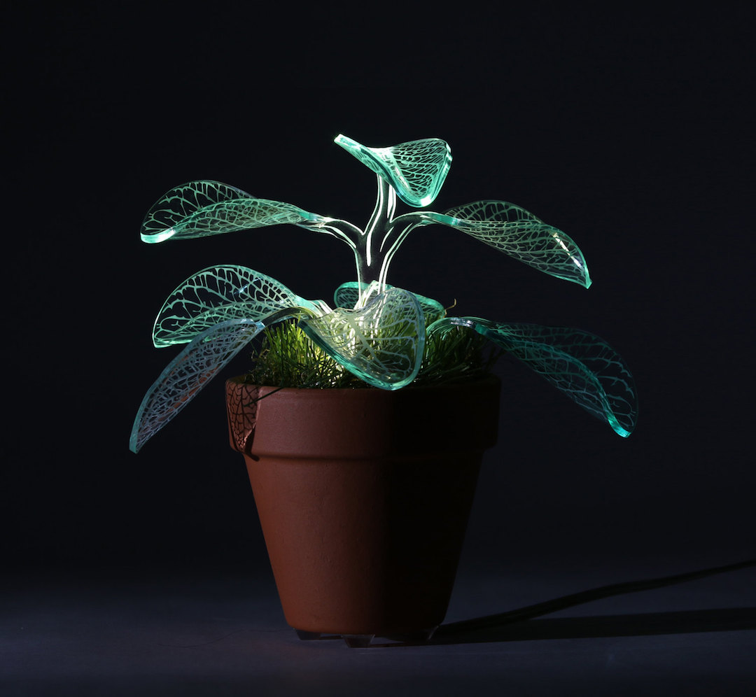 desk lamp for plants