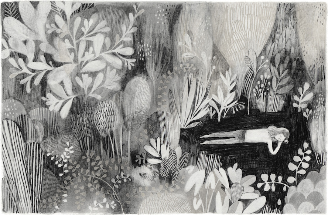 Gray illustrations by Isabelle Arsenault