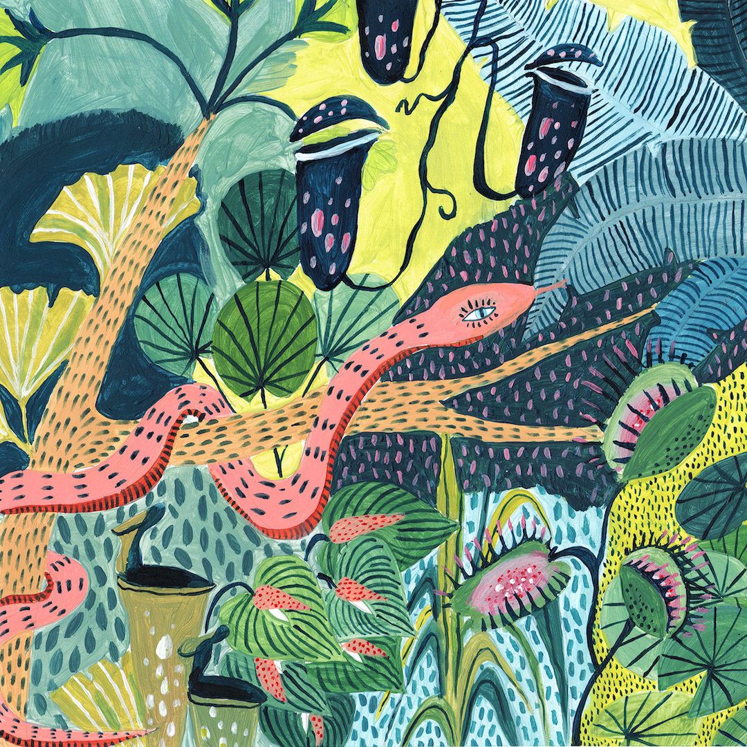 Jungle illustrations by Amber Davenport