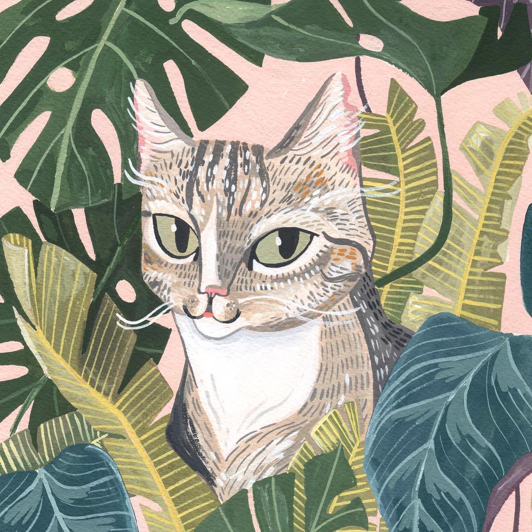 Cat Illustration 