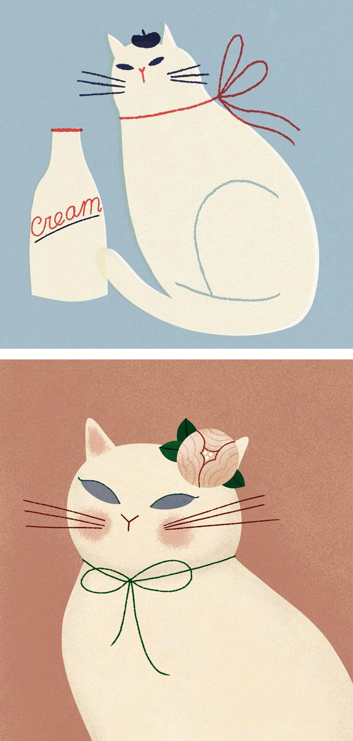 Illustrations by Clare Owen