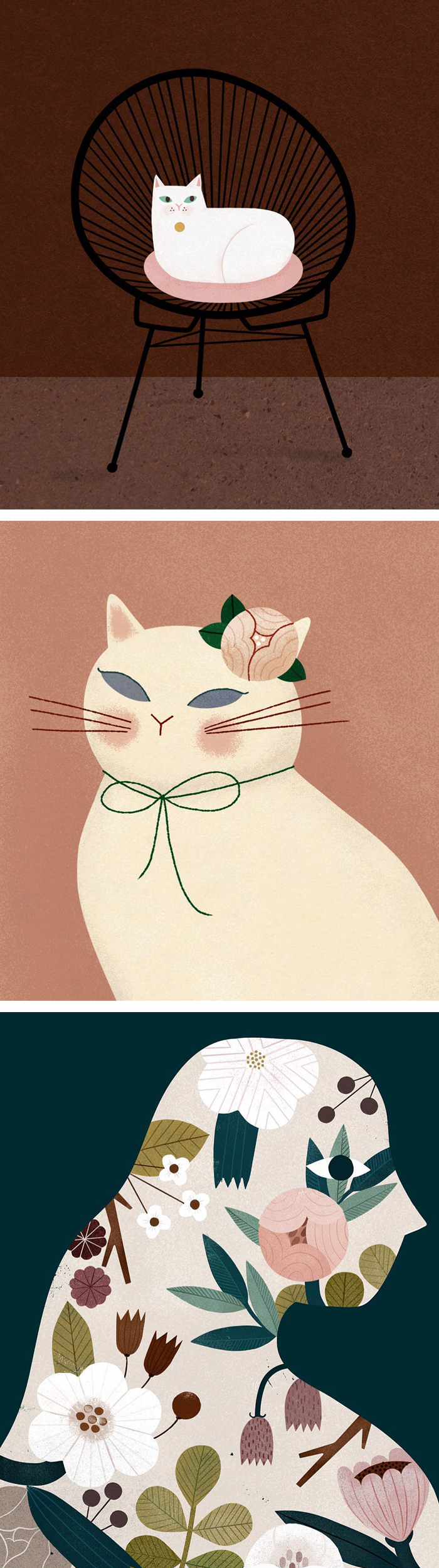 Cat illustrations by Clare Owen