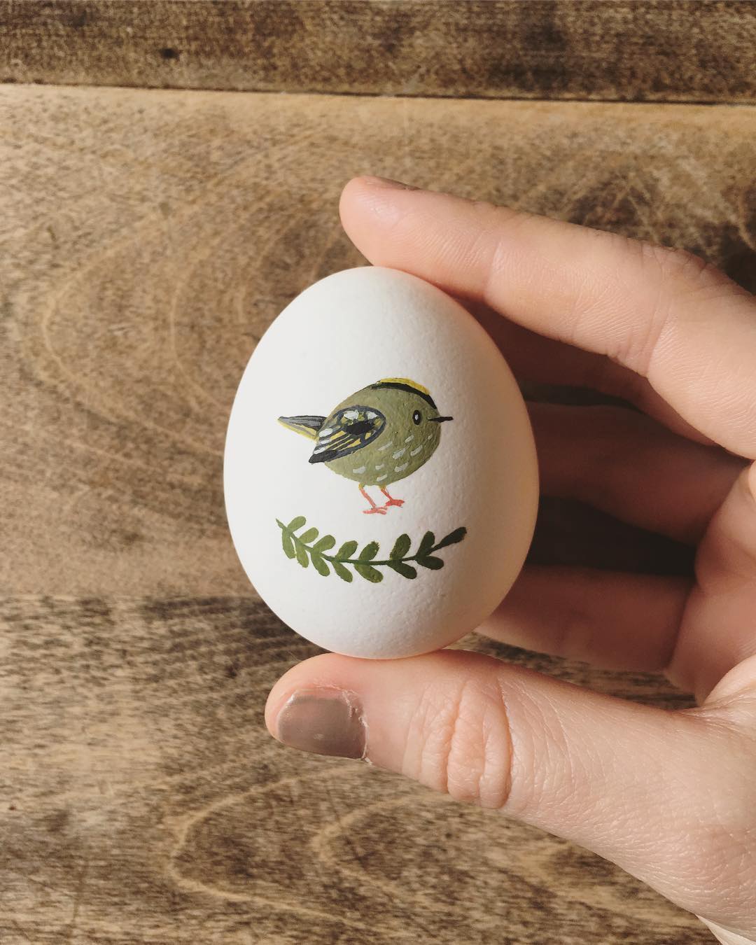 Illustrated egg art by Saara Katariina Söderlund