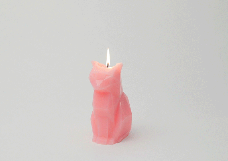 PyroPet - Candle