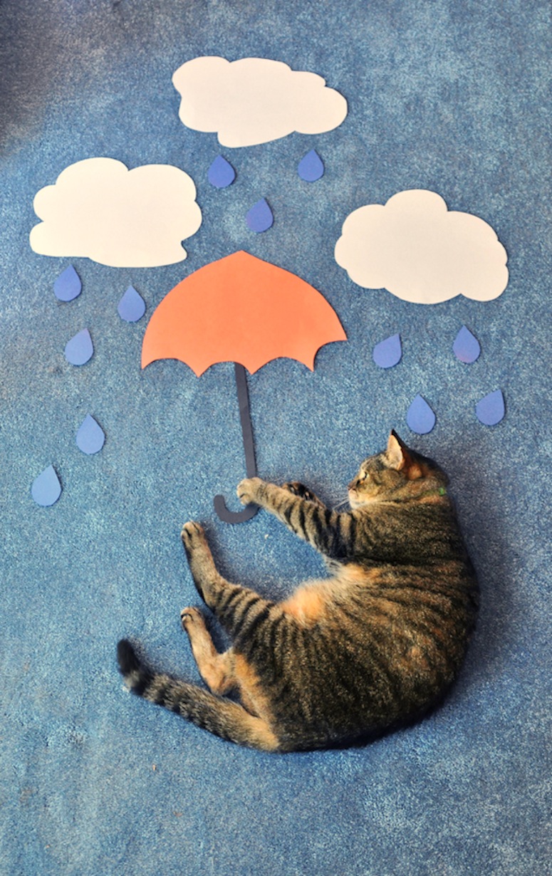 cat_mary_poppins