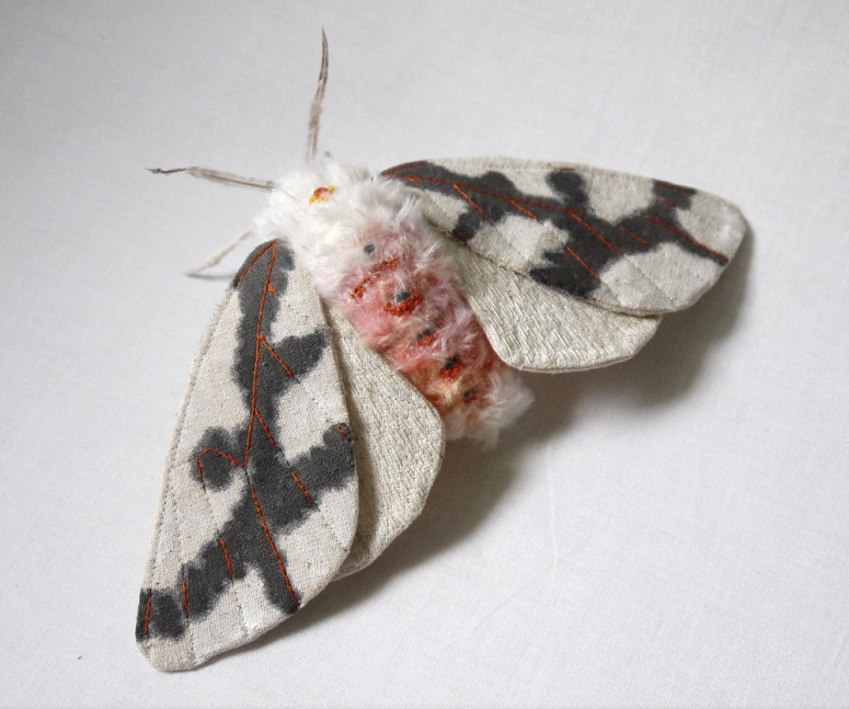 moth3