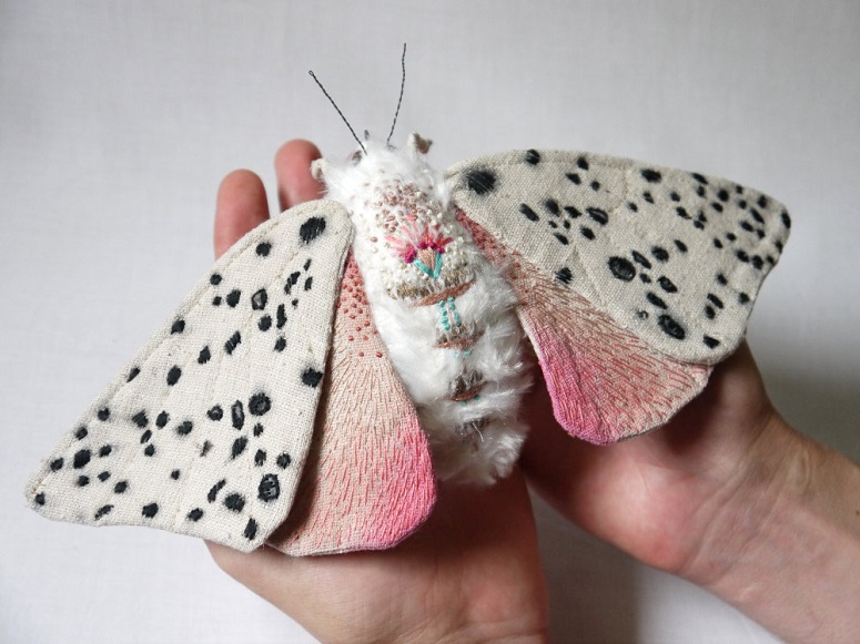 Palm-Sized Moths That Won't Give You the Heebie Jeebies, I Promise ...