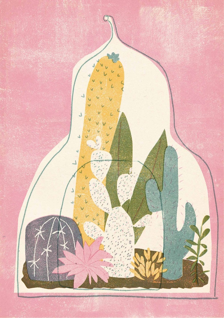 Cacti