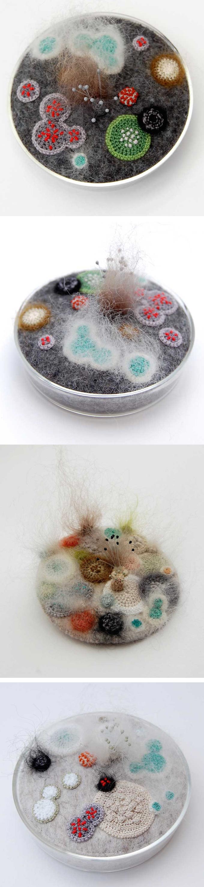Felted and crocheted bacteria by Elin Thomas