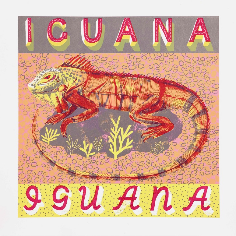 I is for Iguana a large scaly reptile.