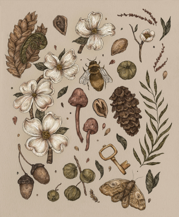 jessica-roux-illustration-1