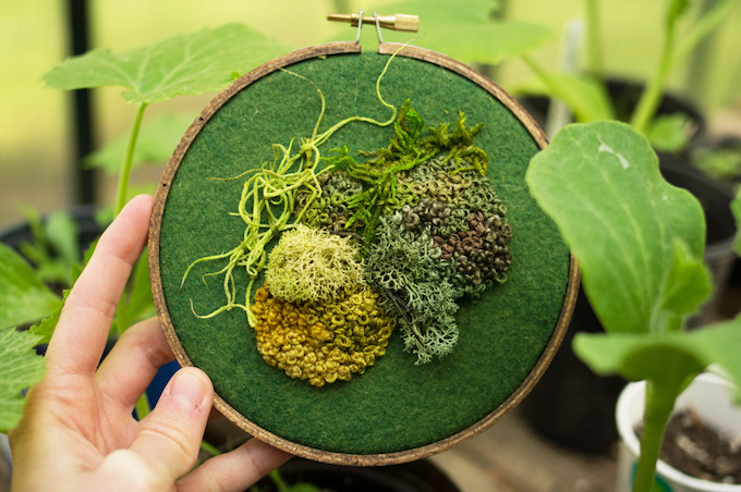Moss embroidery by Emma Mattson