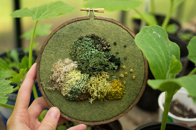Moss embroidery by Emma Mattson