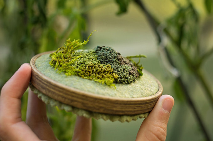 Moss embroidery by Emma Mattson