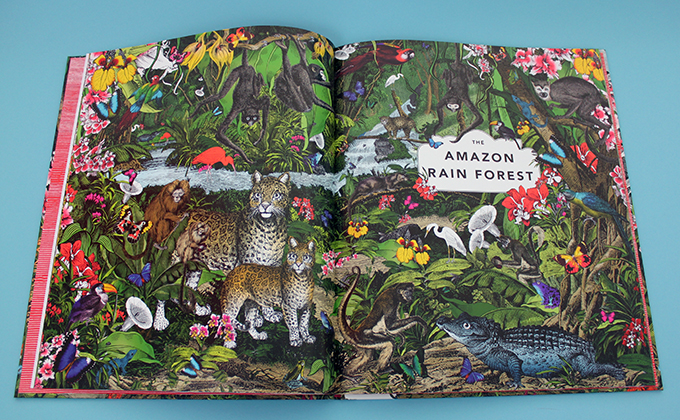 The Wonder Garden by Jenny Broom and illustrated by Kristjana S Williams 