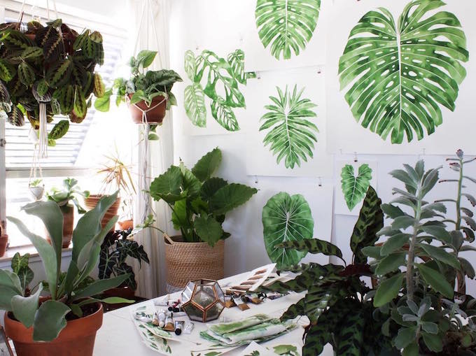 Plant paintings by Living Pattern