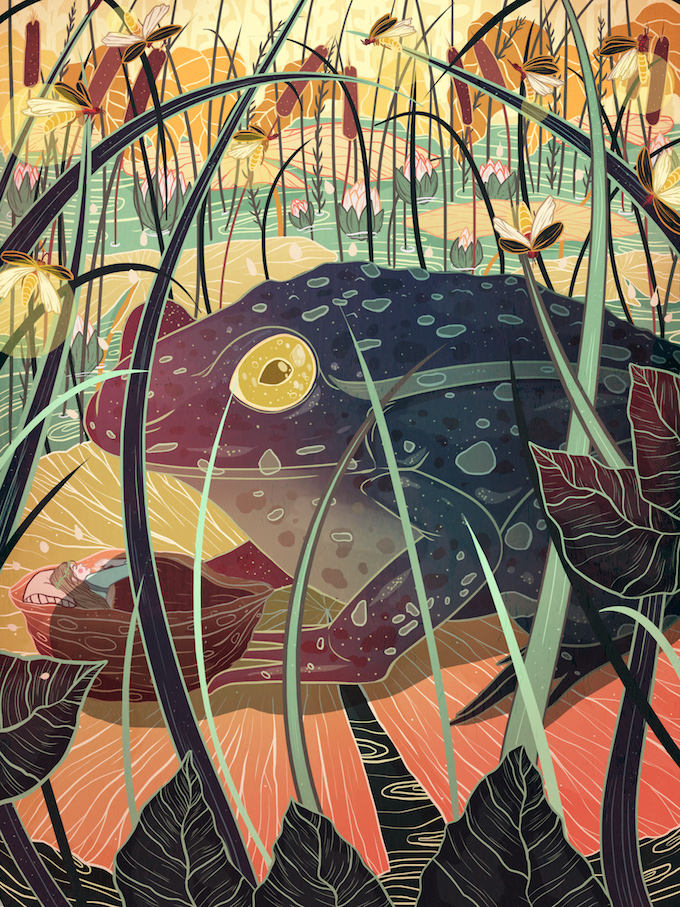 Kailey Whitman illustration 