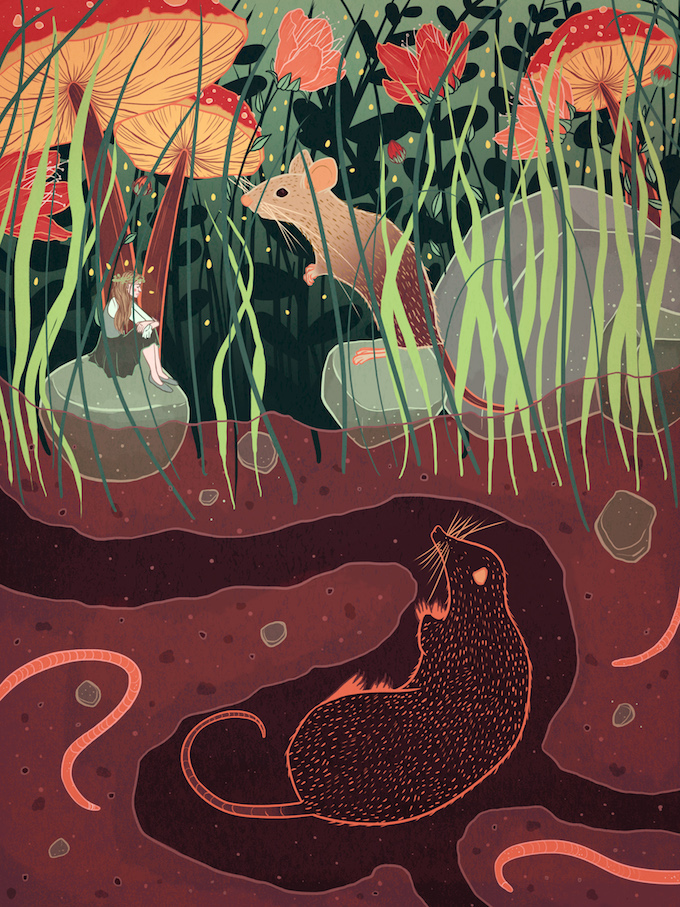 Kailey Whitman illustration 