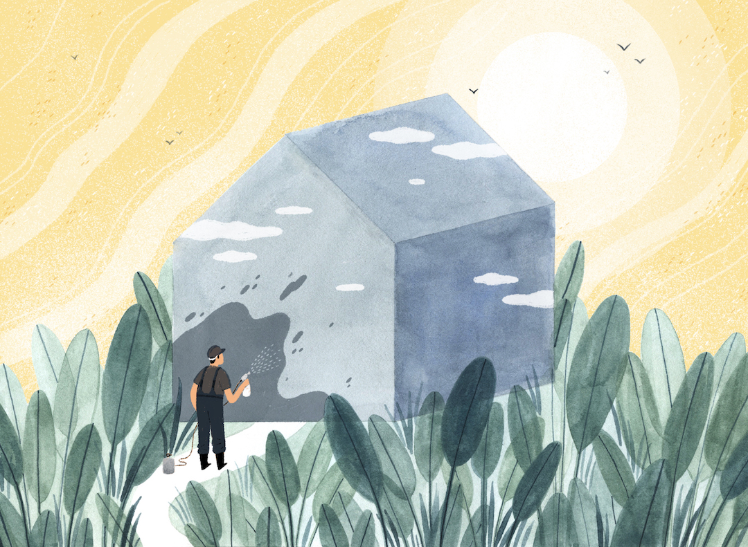 Illustrations by Maggie Chiang