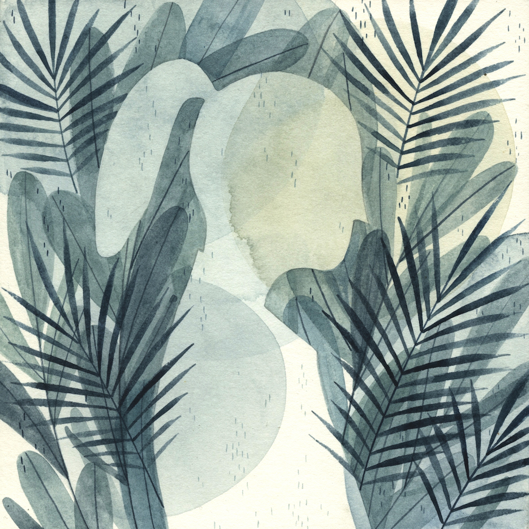 Illustrations by Maggie Chiang