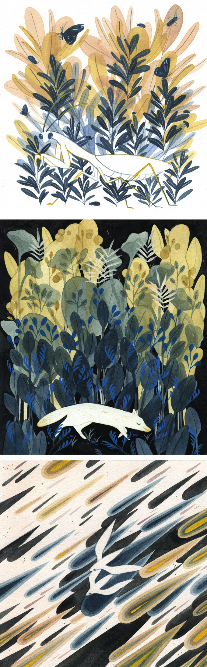 Illustrations by Maggie Chiang