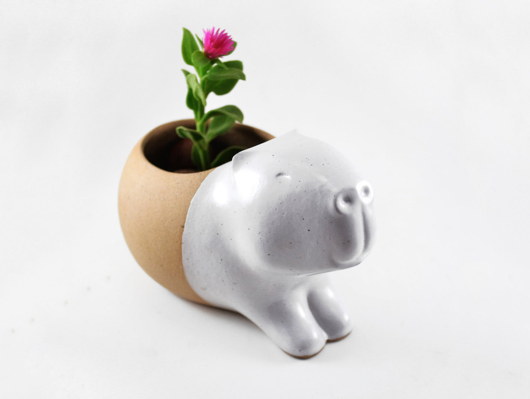 Cumbucia Chic animal planters