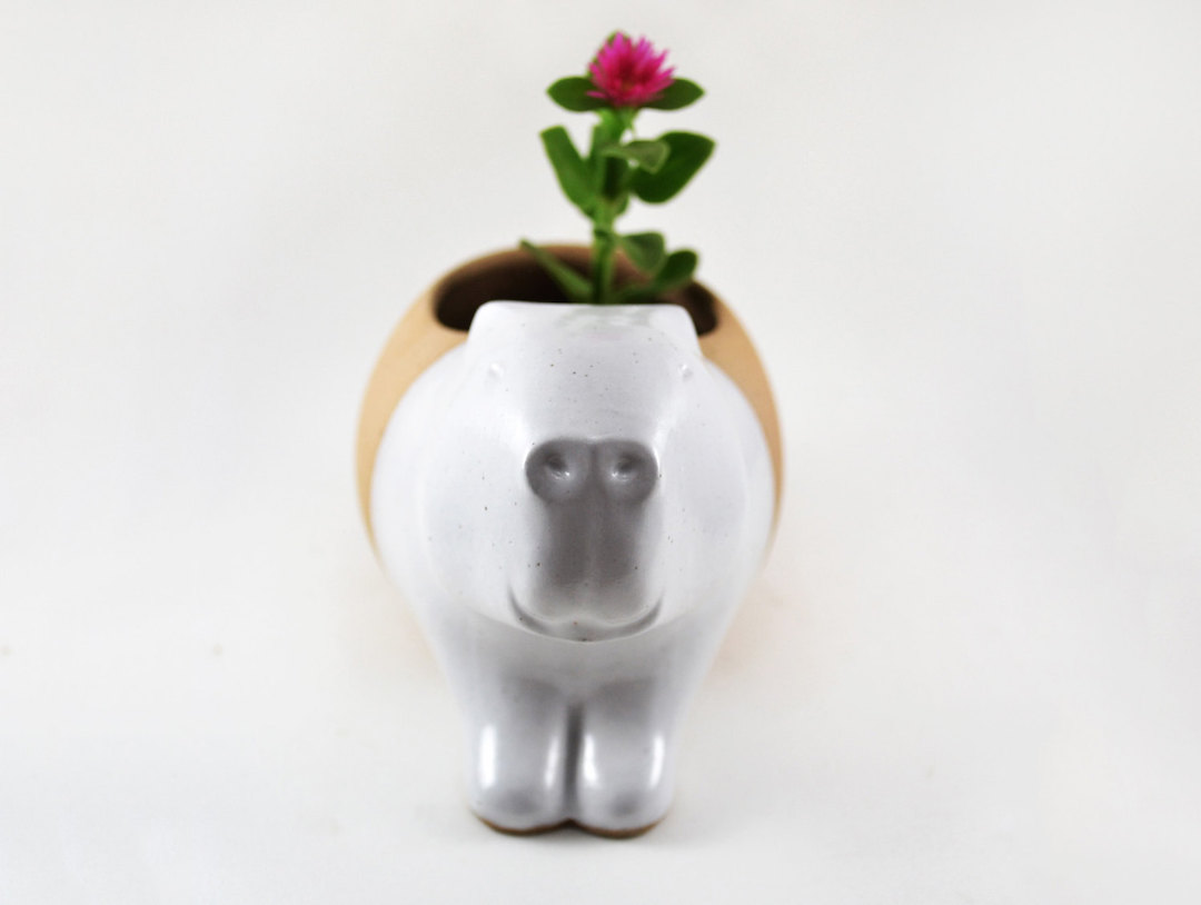 Cumbucia Chic animal planters