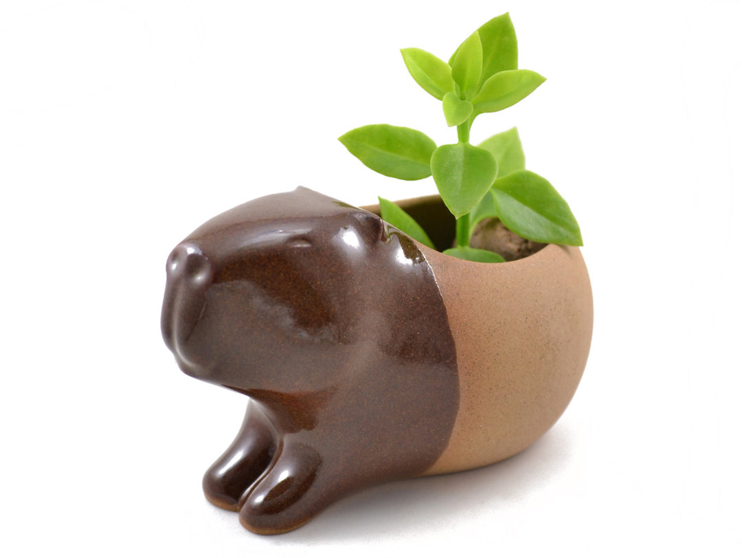 Cumbucia Chic cute animal planters