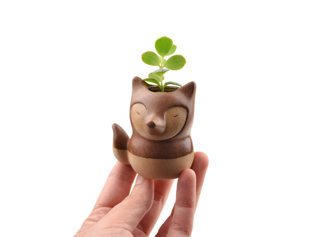 Cumbucia Chic cute animal planters