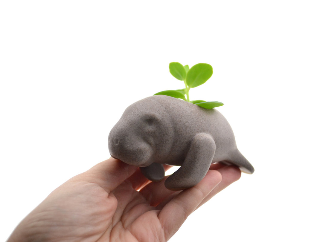 Cumbucia Chic cute animal planters