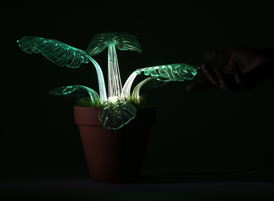 Plant lamps by Mar de Fe