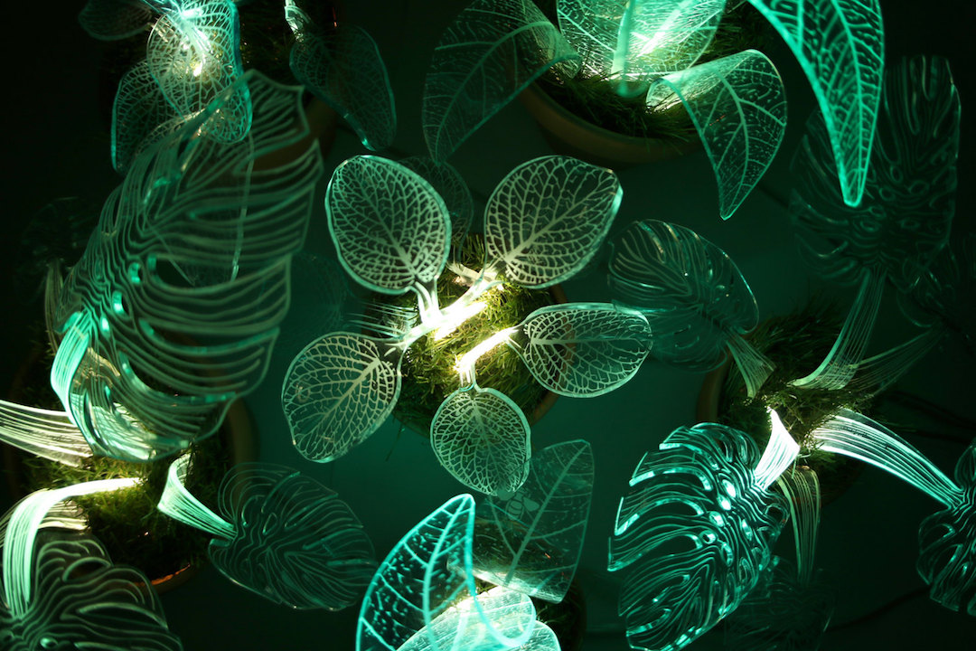 Plant lamps by Mar de Fe