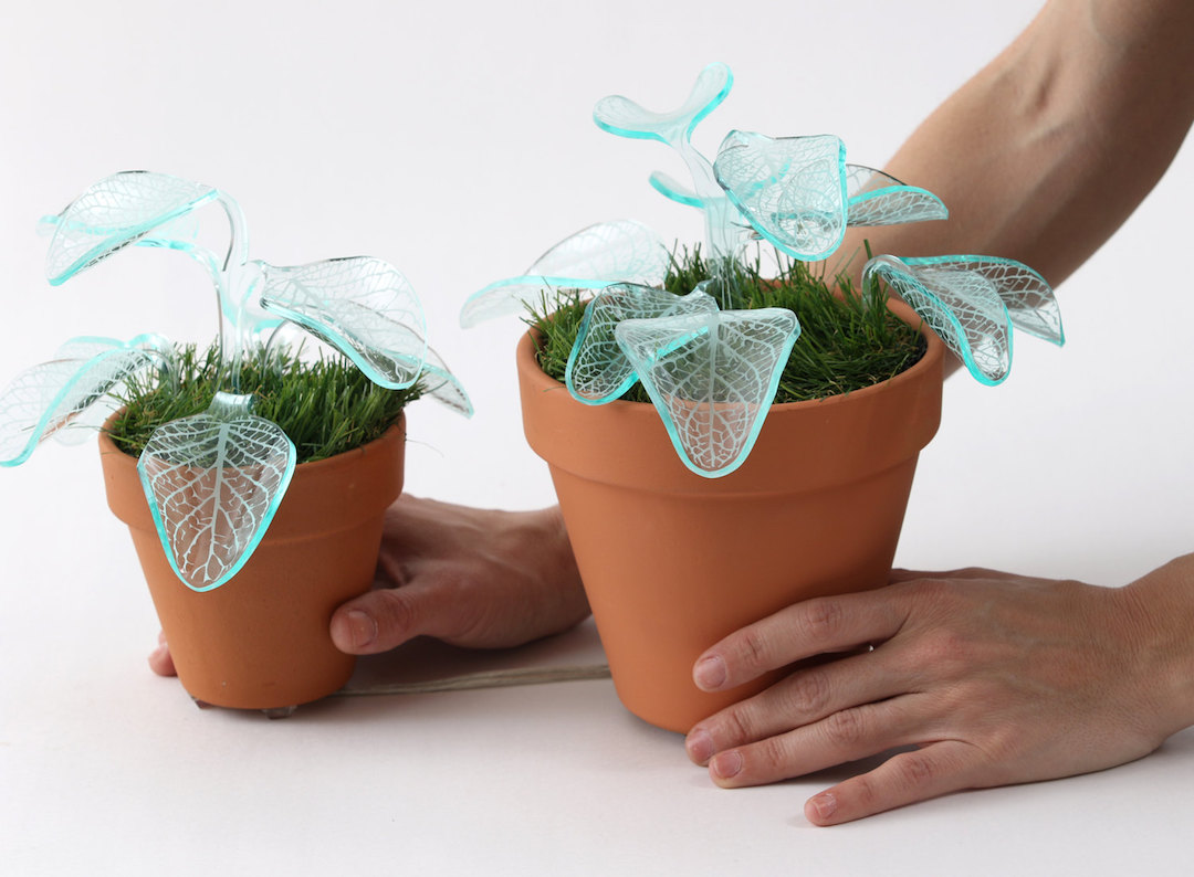 Plant lamps by Mar de Fe