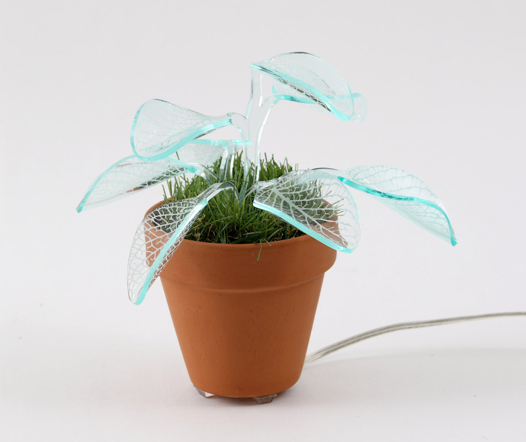 Plant lamps by Mar de Fe