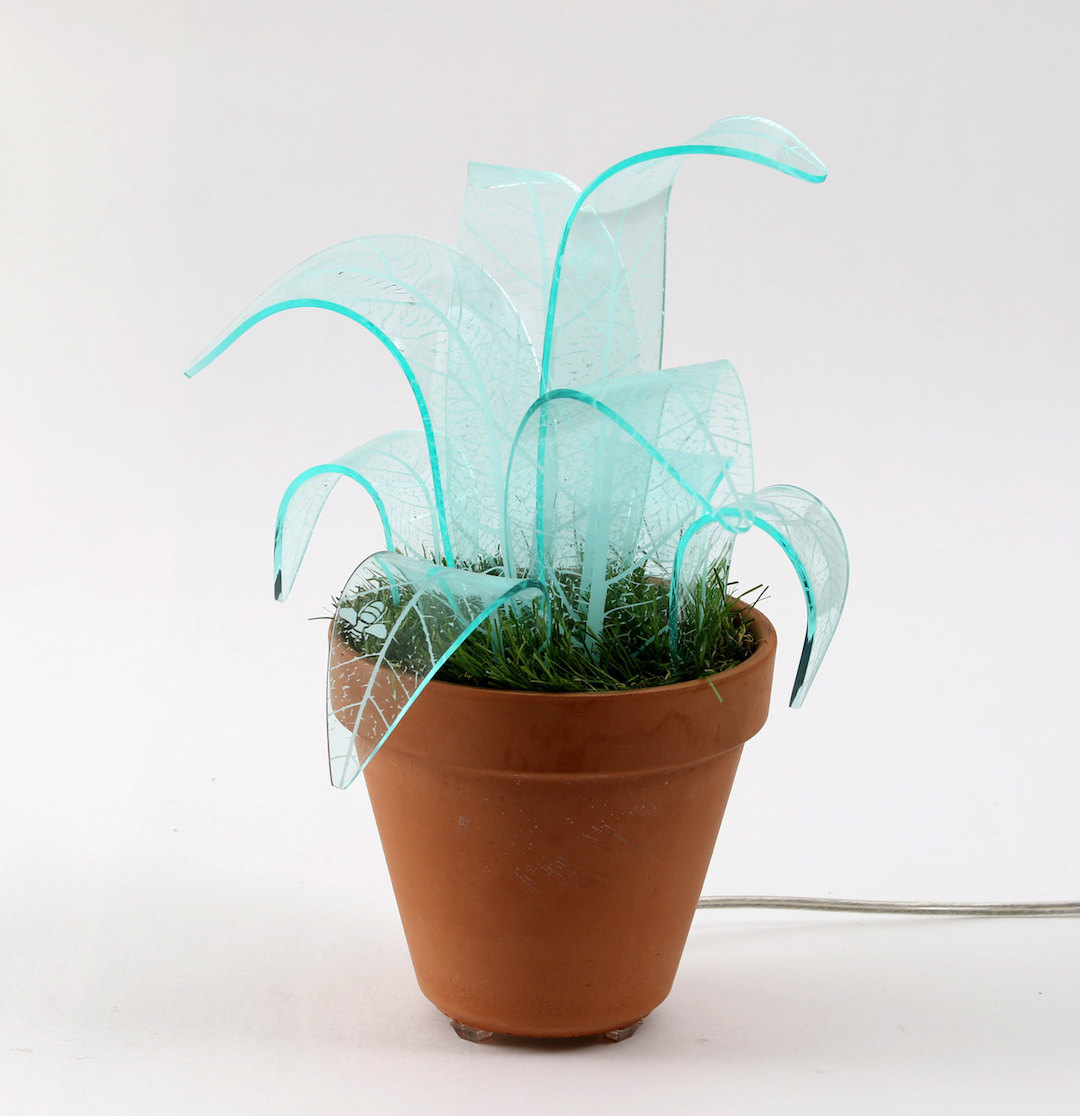Plant lamps by Mar de Fe