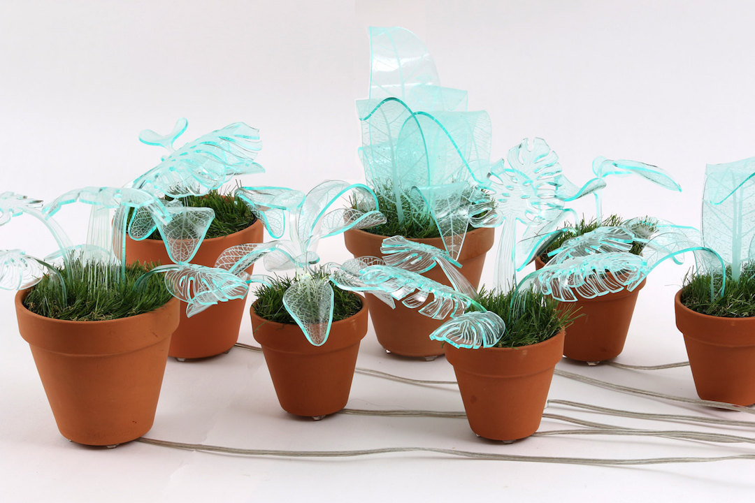 Plant lamps by Mar de Fe