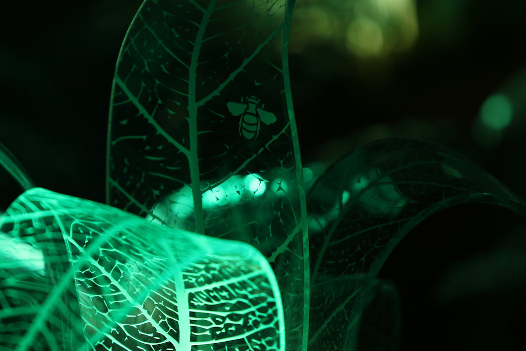 Plant lamps by Mar de Fe