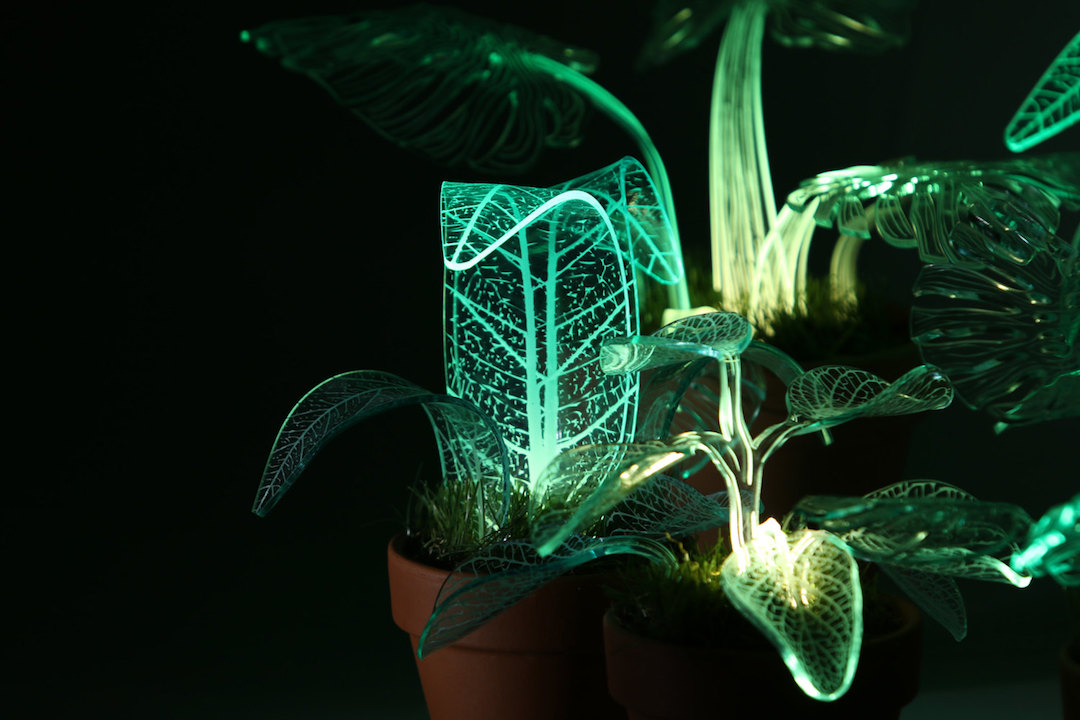 Plant lamps by Mar de Fe