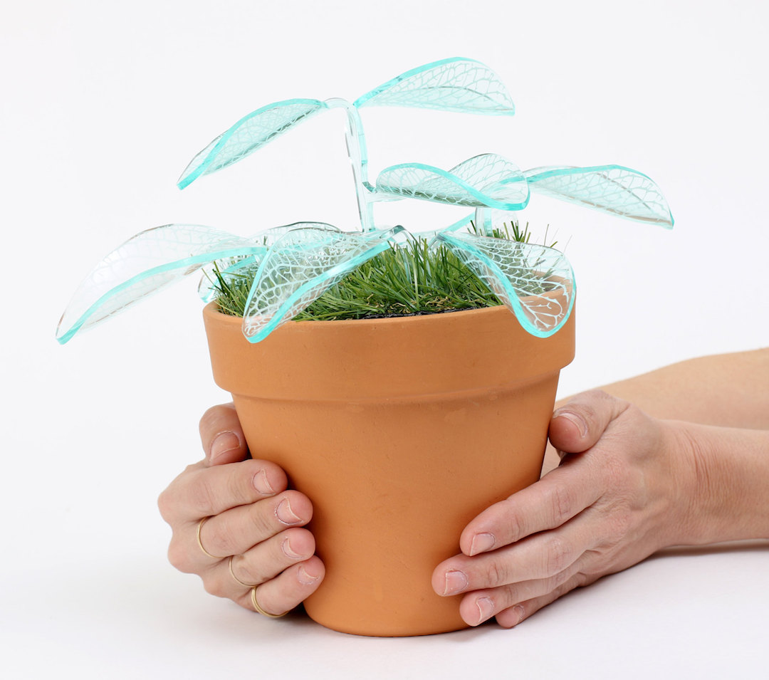 Plant lamps by Mar de Fe