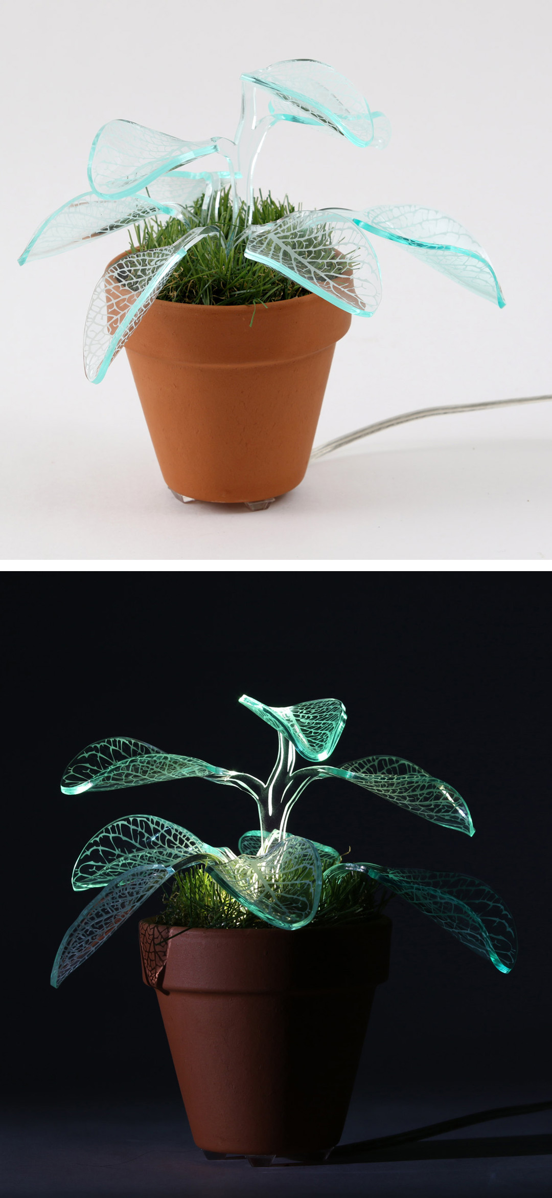 Plant lamps by Mar de Fe