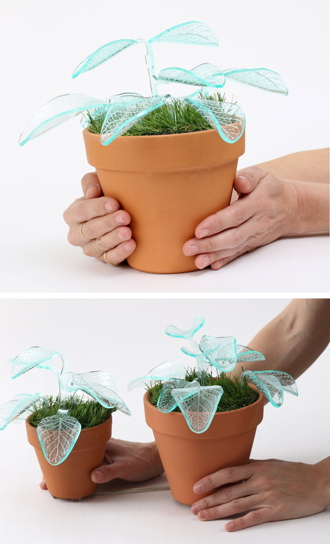 Plant lamps by Mar de Fe