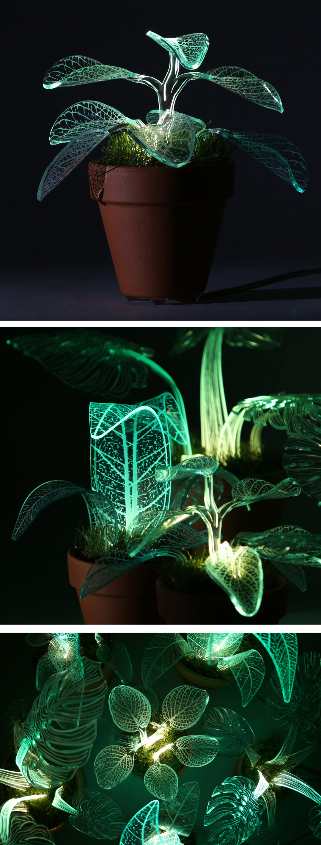 Plant lamps by Mar de Fe