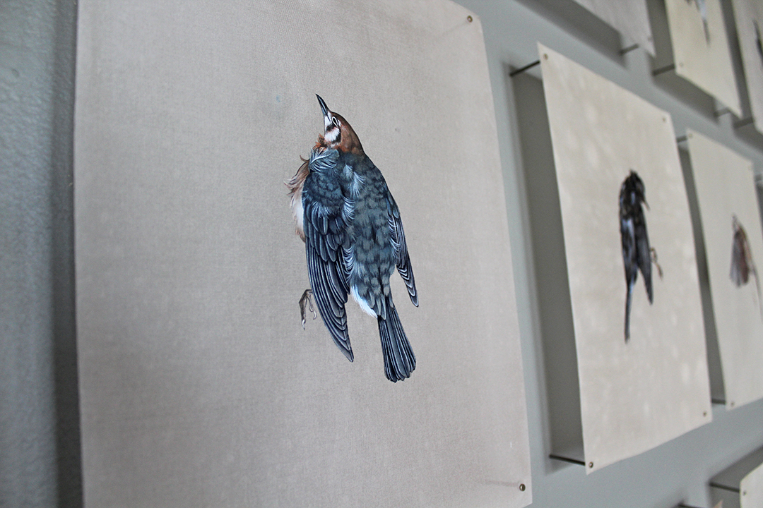 bird paintings on silk by jieyu zhang