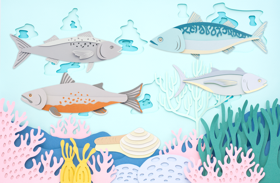 cut paper illustration by Polly Lindsay