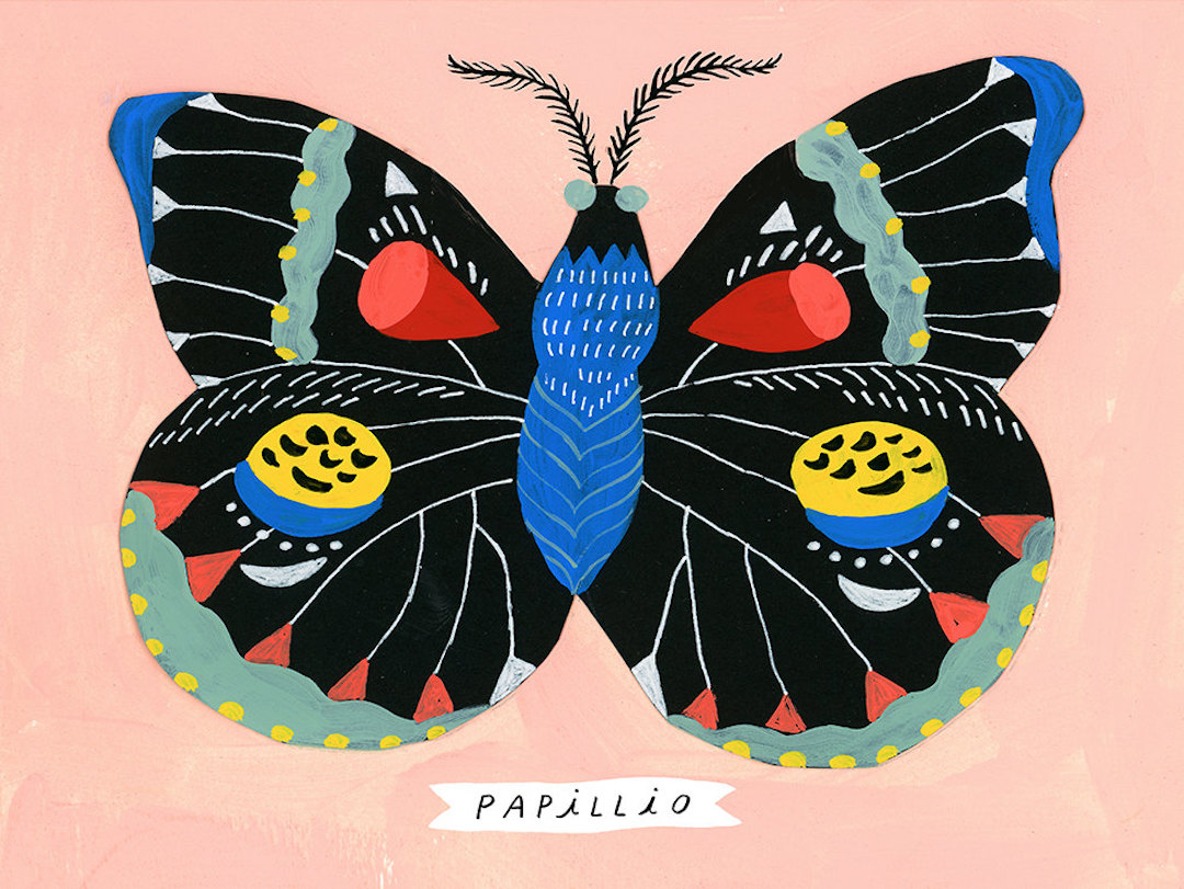 butterfly illustration