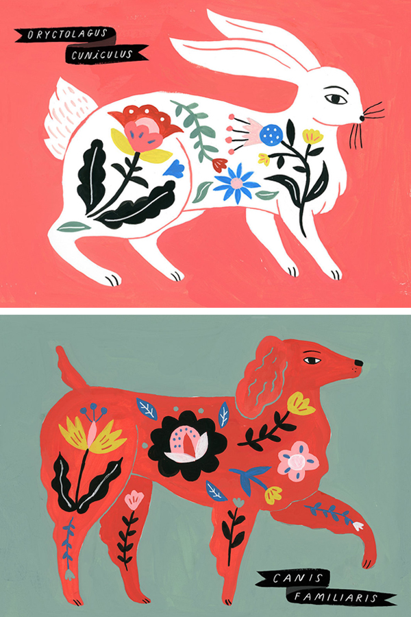 Illustrations by Sarah Walsh