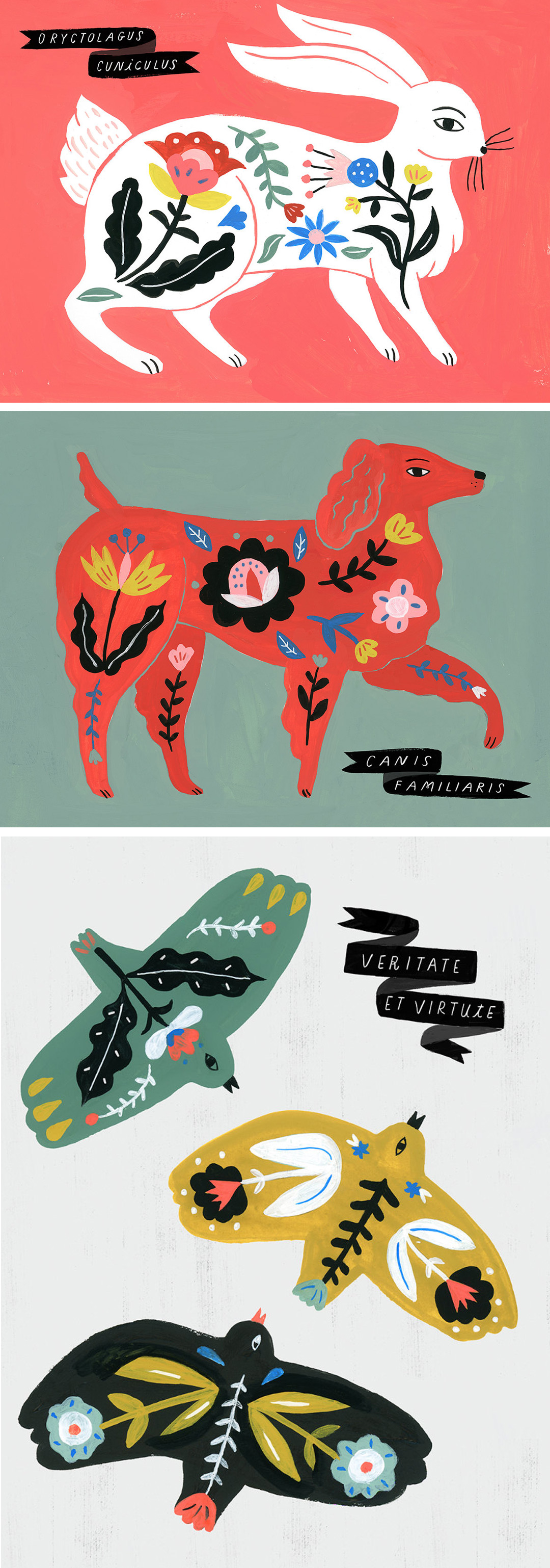 Sarah Walsh 'Folk Science'