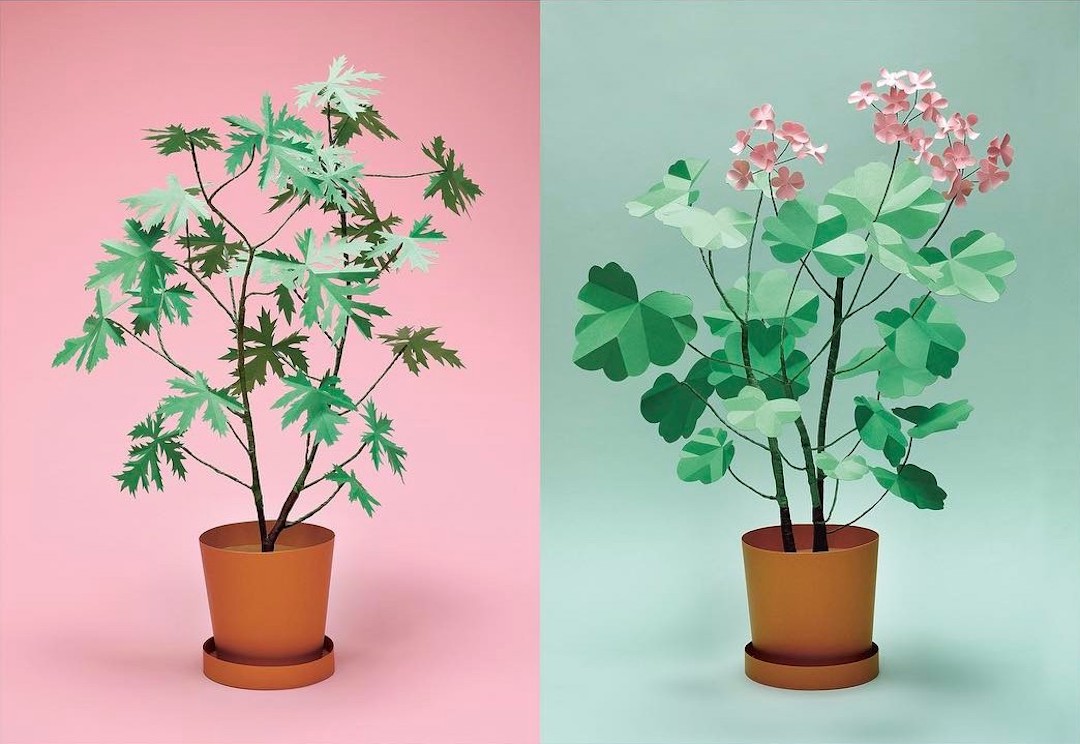 Follow the best paper artists on Instagram