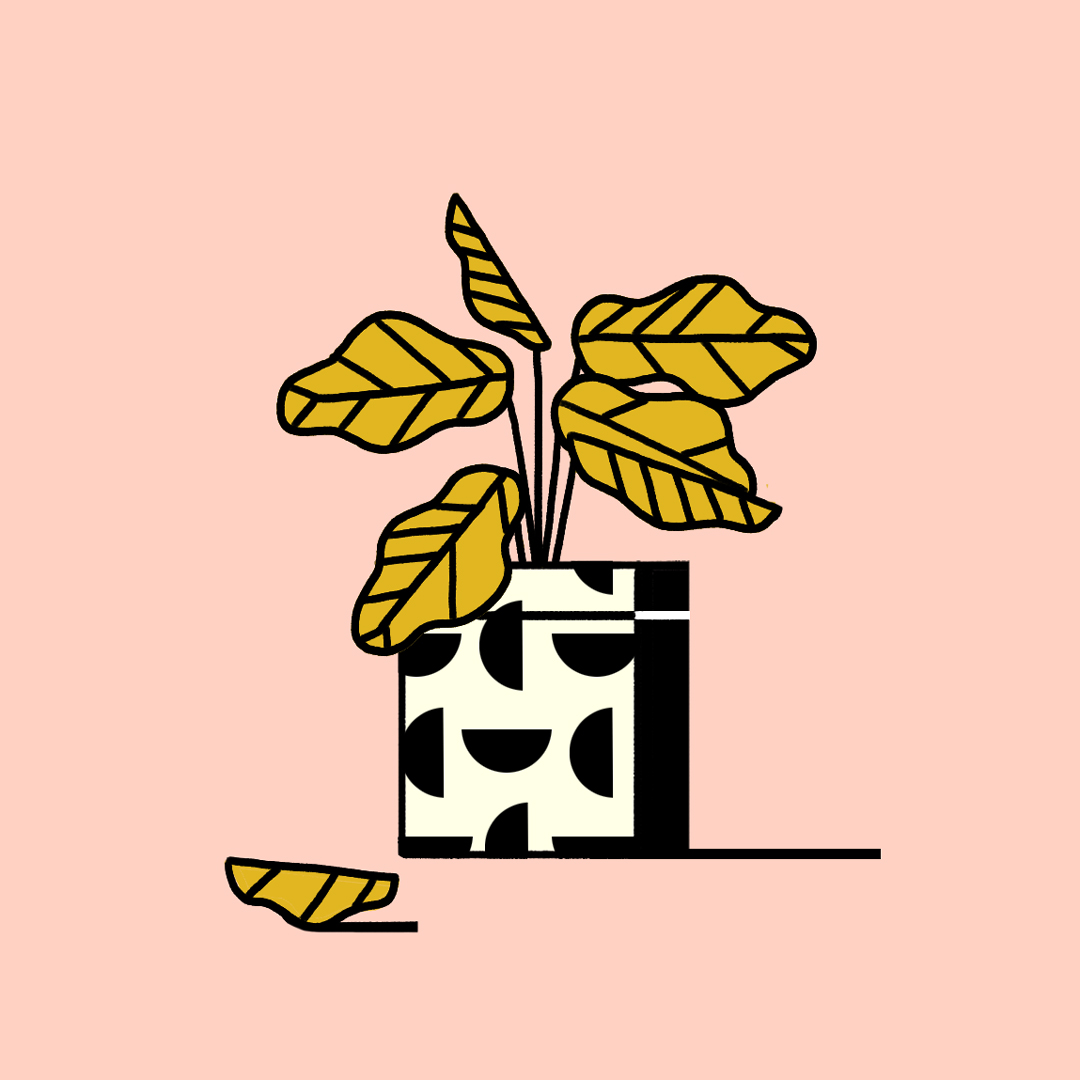 Abbey Lossing Illustration