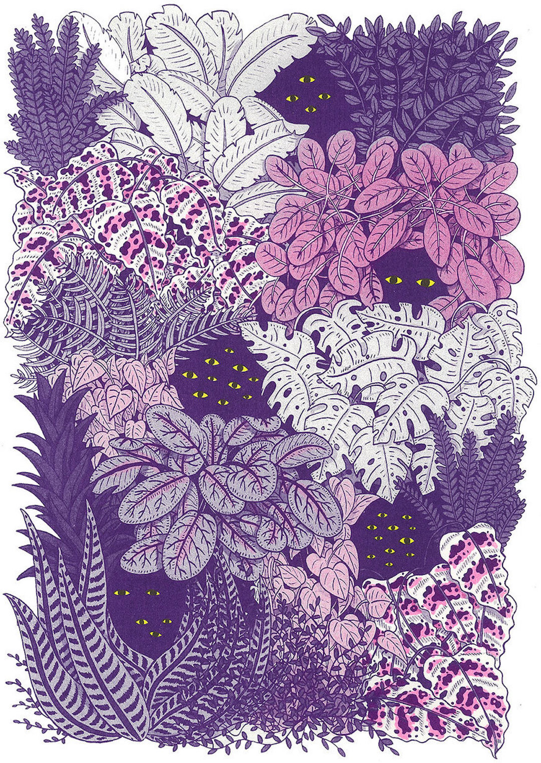 Purple illustration by Ashley Ronning